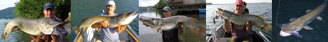 banner_aso468x60.gif