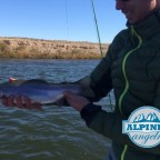 Float Trip Green River Wyoming