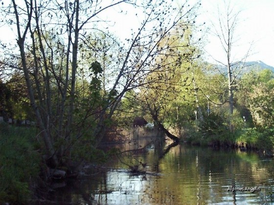Schlierach-03