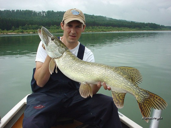 Fränkischer Freiwasserhecht