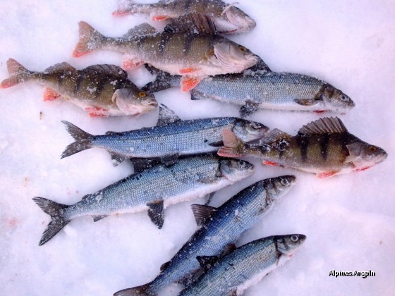 Eisfischen in der Ostsee