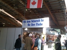 Schild