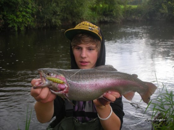 55cm Regenbogenforelle