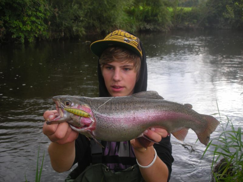 55cm Regenbogenforelle