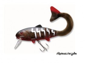 CORA-Z ACTIVATOR TAIL STRING - Guidos Profibarsch - Foto: Cormoran