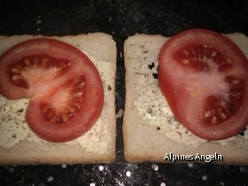 Toast2