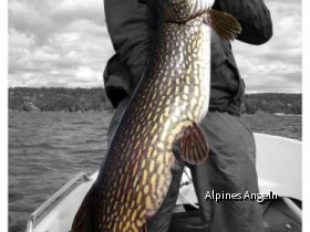 Dalsland 2009 Teil 03 pic 04 hoch