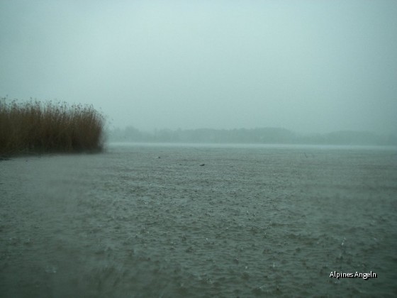 Guten Morgen Chiemsee 1