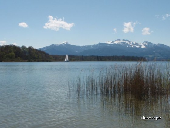 chiemsee1