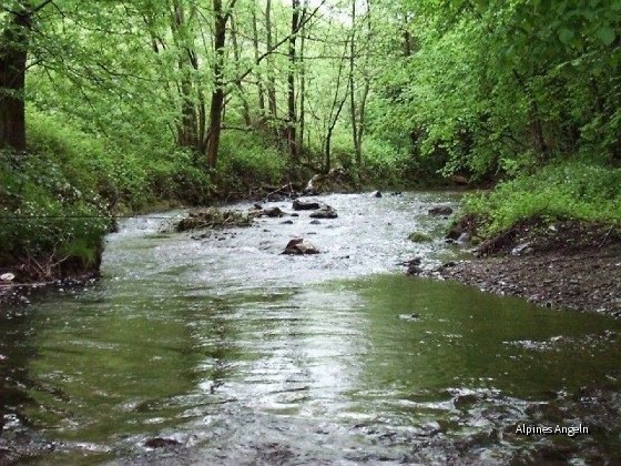Schlierach-II-15