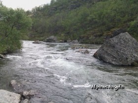 Dovrefjell7