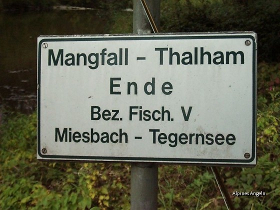 Mangfall Thalham 19