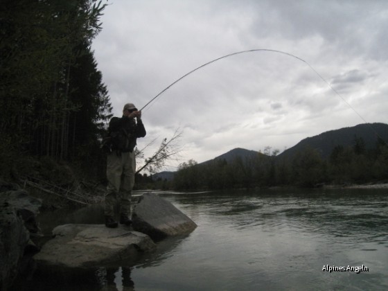 On the fly - Isar