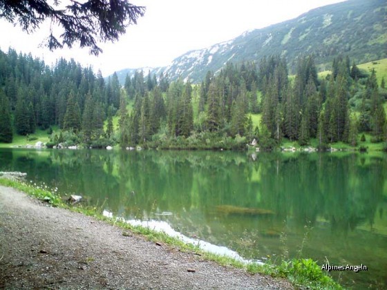 Soinsee 2009-07-24