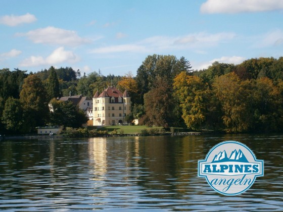 Starnbergersee