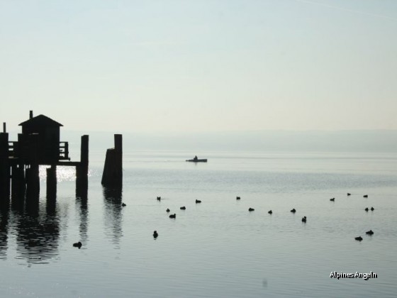 Ammersee im November