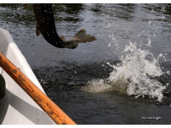 Dalsland 2009 Teil 02 Bild 09