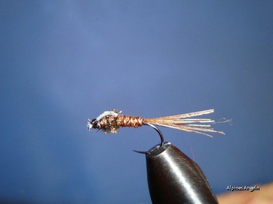 Flashback Pheasant Tail