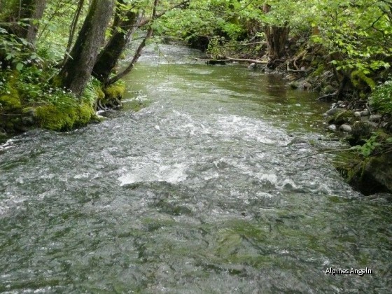 Schlierach-II-16