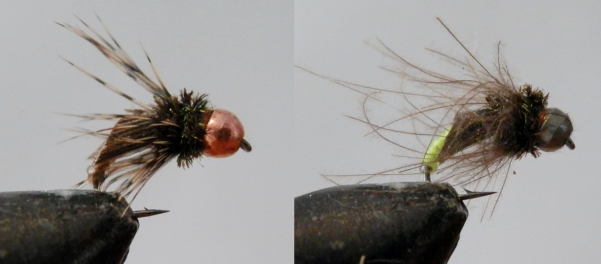 Caddis Pupa