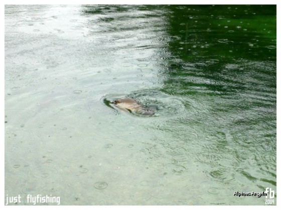 Scheiss Wetter 01