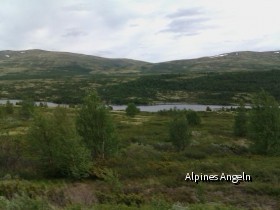 Dovrefjell3