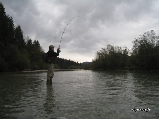On the fly - Isar
