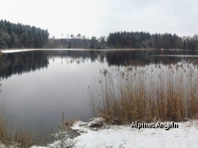 Galla Weiher