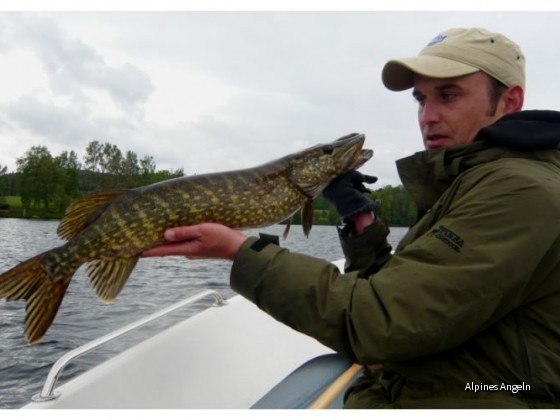 Dalsland 2009 Teil 05 Bild 10