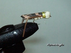Die Fliege -