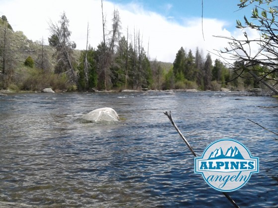 Boulder Creek Wyoming