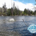 Boulder Creek Wyoming