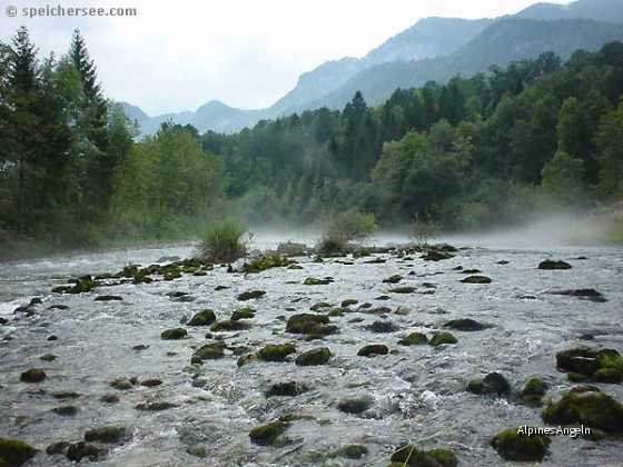 Morgendunst an der Sava