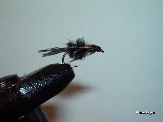 Die Fliege - Arthofer