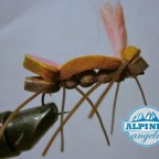 Tschärnobil Ant