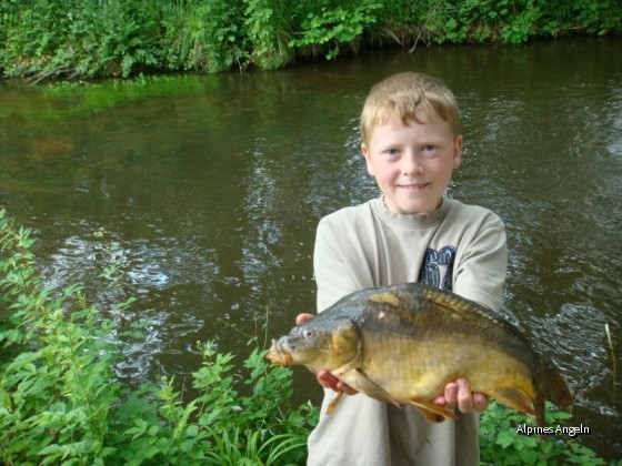 Karpfen 46cm