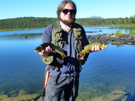 Schwedische Streamerbarsche ( Wooly Bugger rockt einfach)