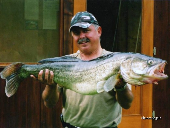 kapitaler Zander