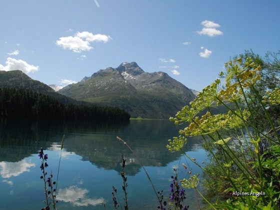 Silverplanersee