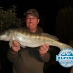 Zander 73cm