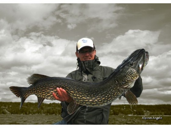 129 cm Pike Mama