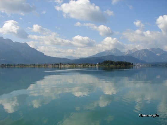 Alpenpanorama am Forggensee