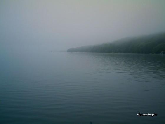 Morgenstimmung am STA-See