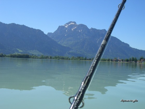 Neuschwanstein