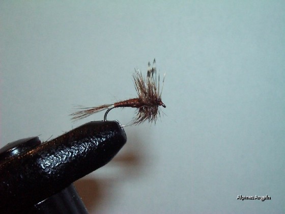 Fliegenbinden - Adams-01