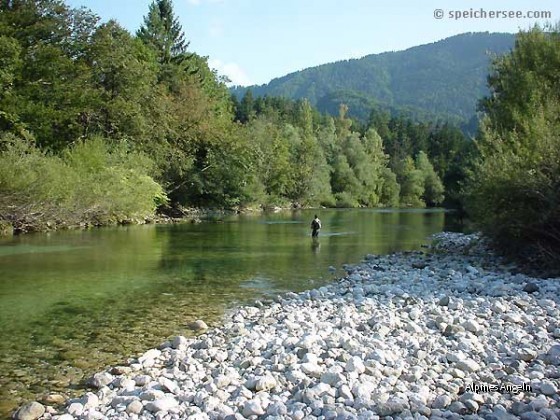 Naturbelassene Flusslandschaft an der Sava