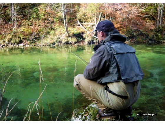 Sava Bohinjka 06