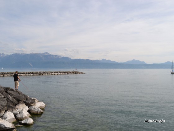 Spinnfischer am Genfer See