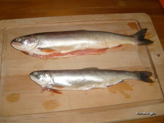 fischtag