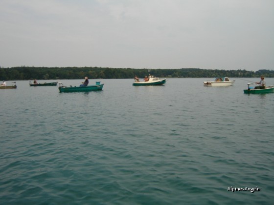 Renkenfischer am Wörthsee